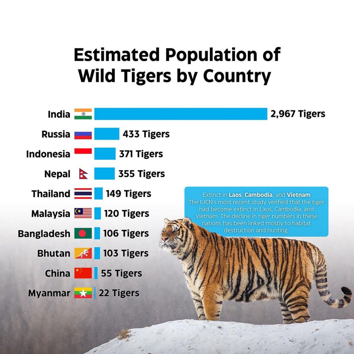 Estimated Population of Wild Tigers by Country