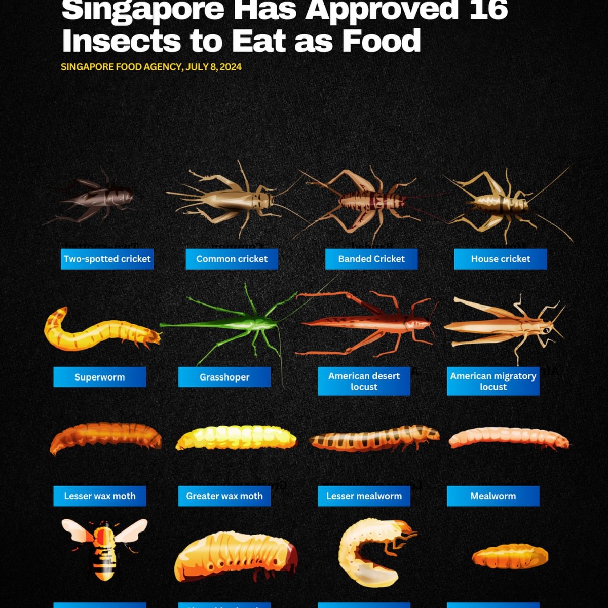 Singapore Has Approved 16 Insects to Eat as Food