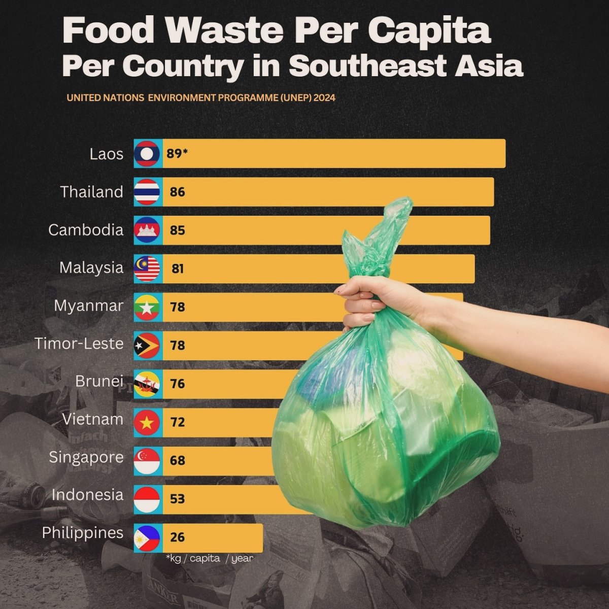 Food Waste Per Capita Per Country in Southeast Asia, 2024
