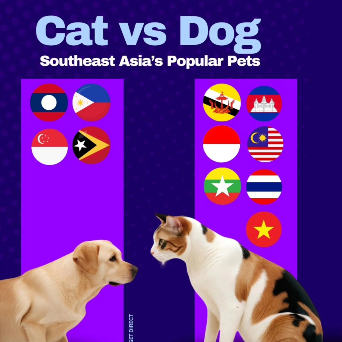 Cat vs Dog: Southeast Asia's Popular Pets