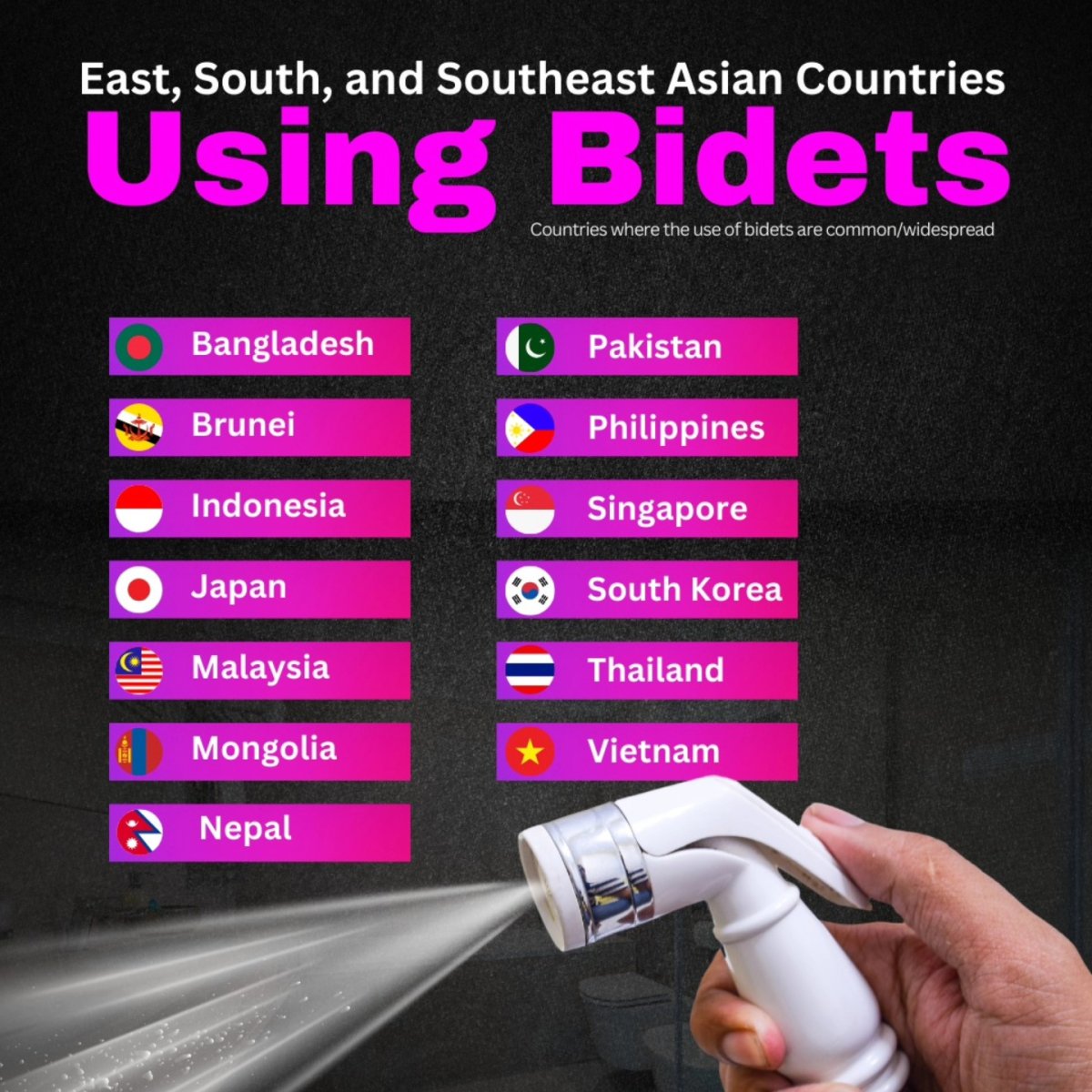 East, South, and Southeast Asian Countries Using Bidets - Seasia Stats