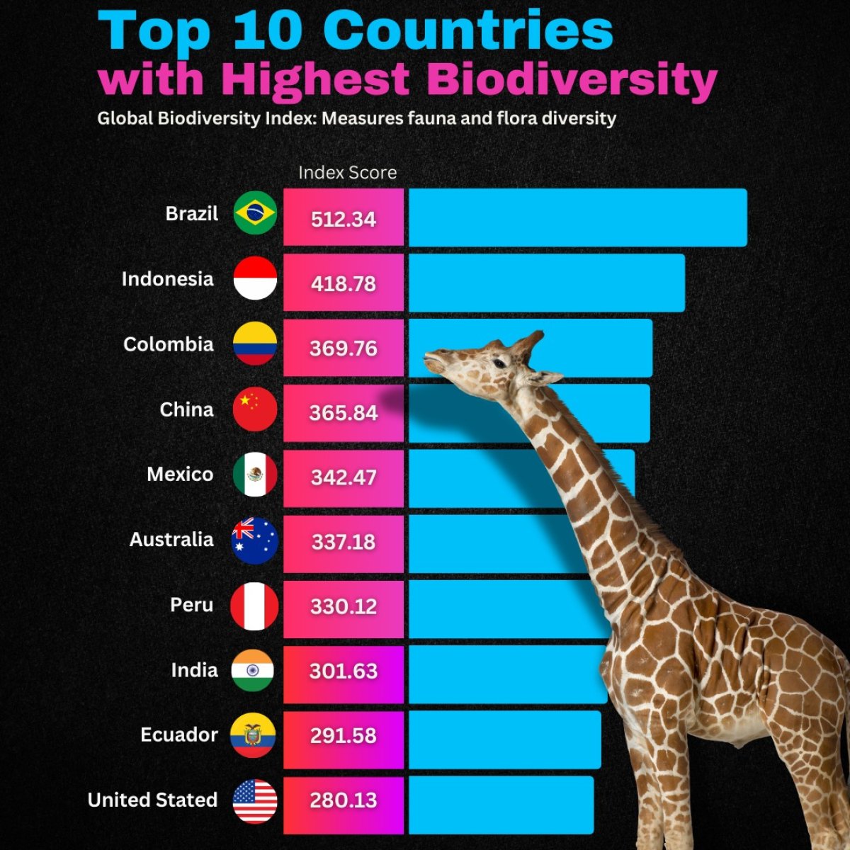 Top 10 Countries with Highest Biodiversity