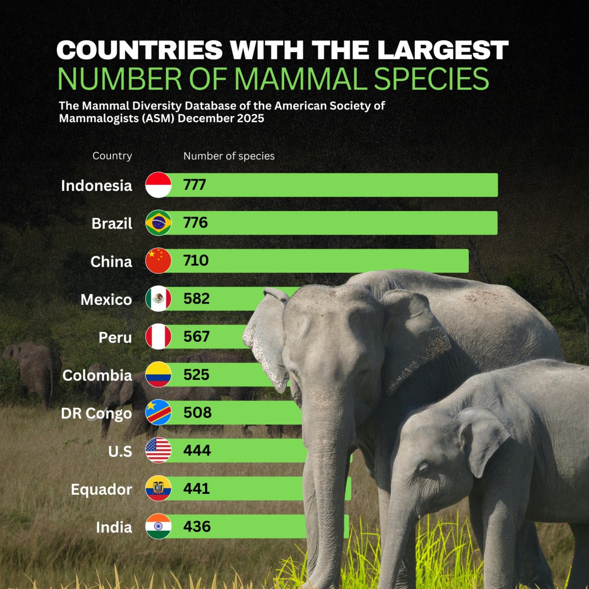 Where the Wild Things Are: Mammal Diversity Across the Globe