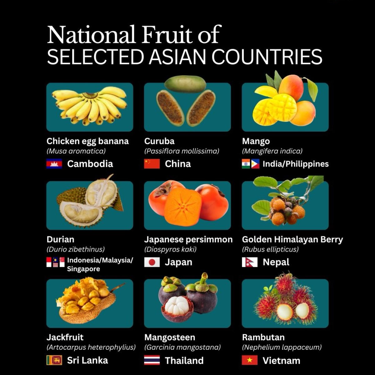 National Fruits of Selected Asian Countries