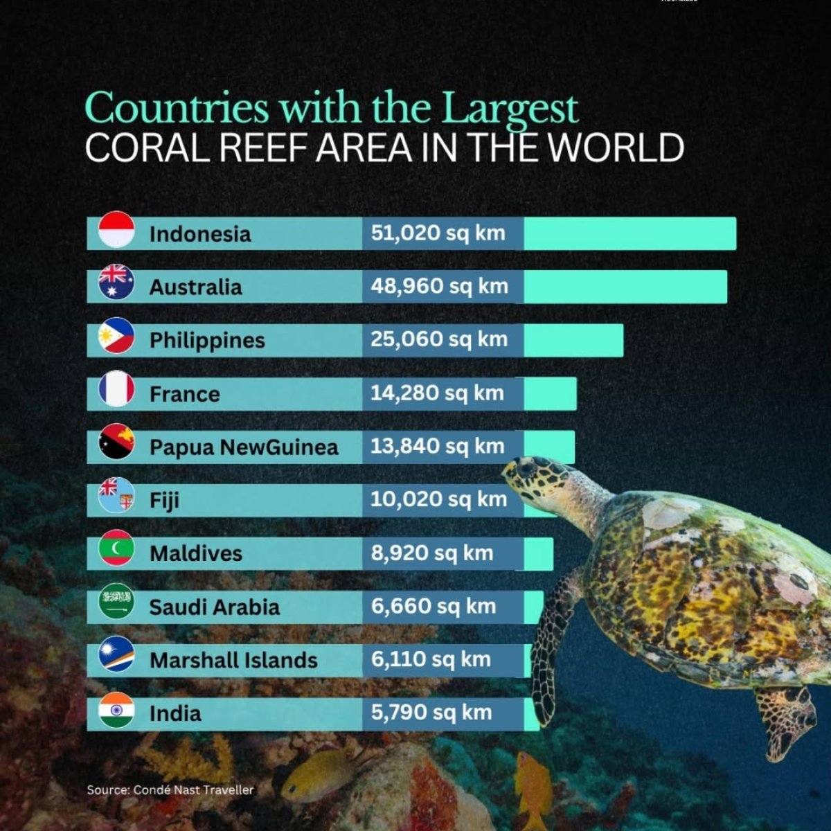 Countries with the Largest Coral Reef Areas
