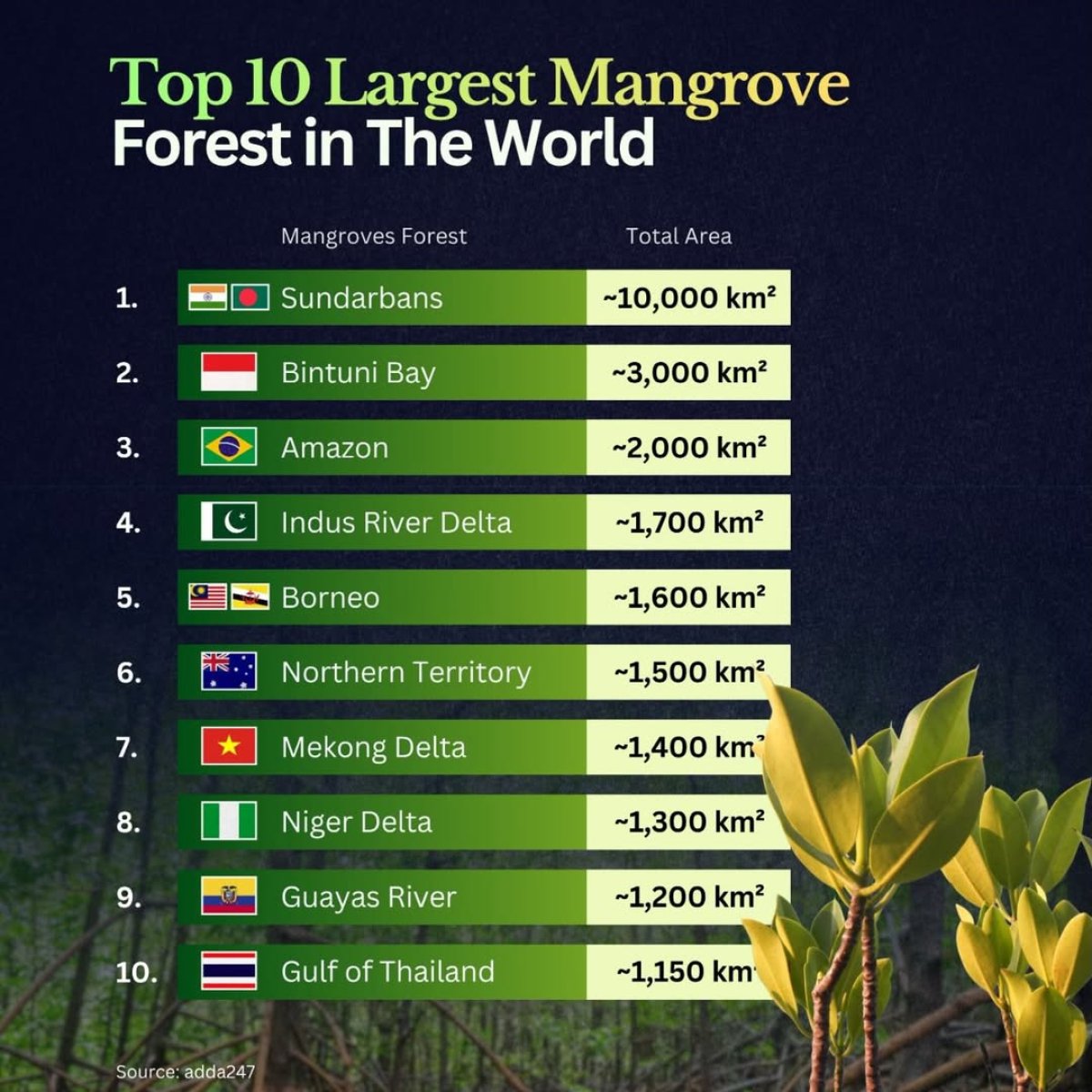 World's 10 Largest Mangrove Forests