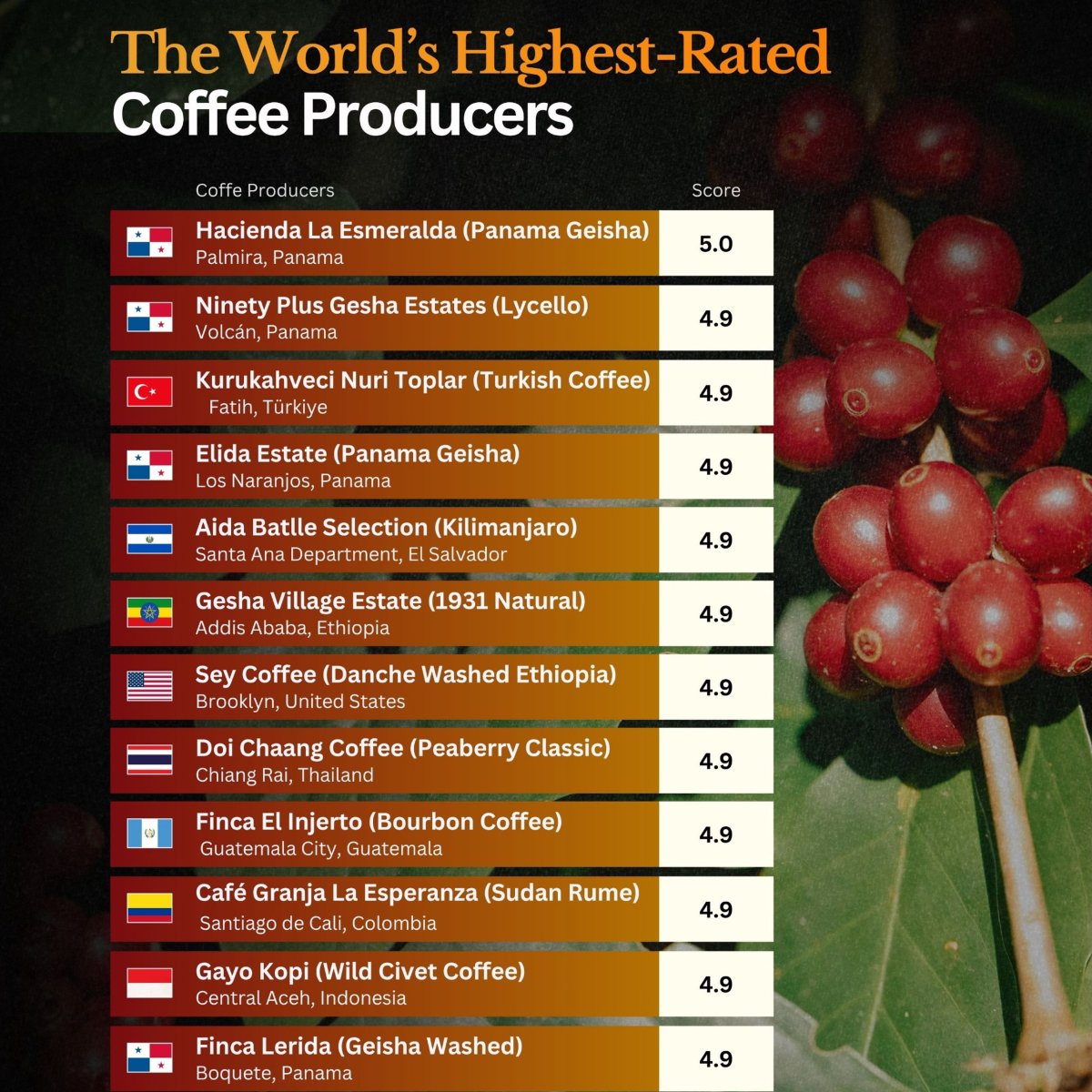 The Highest Rated Coffee Producers in the World