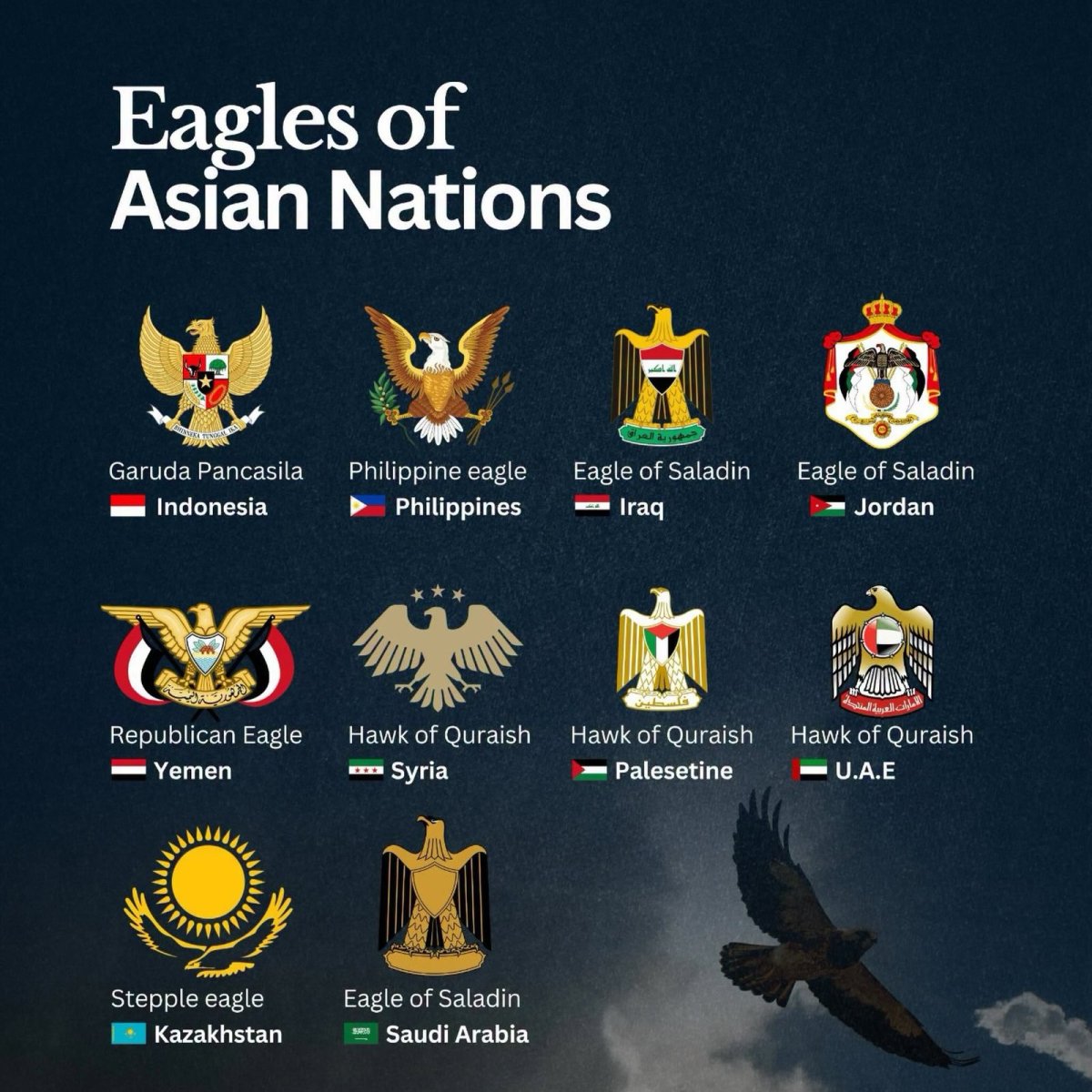 Eagle and Eagle-Like Birds on National Emblems of Asian Nations