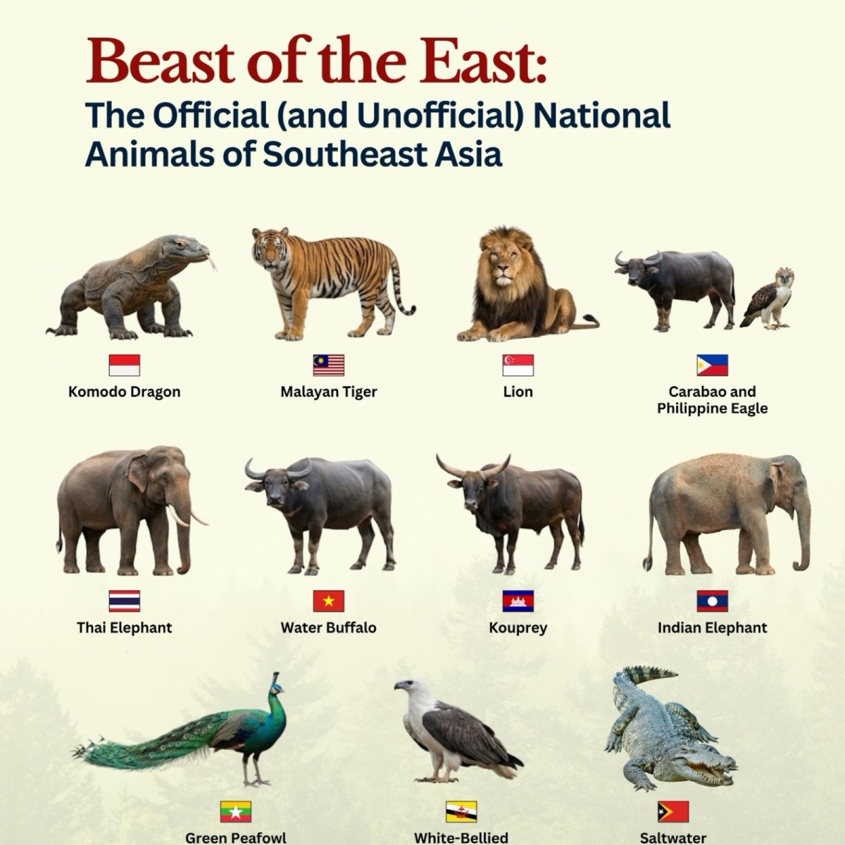 National Animals of Southeast Asia