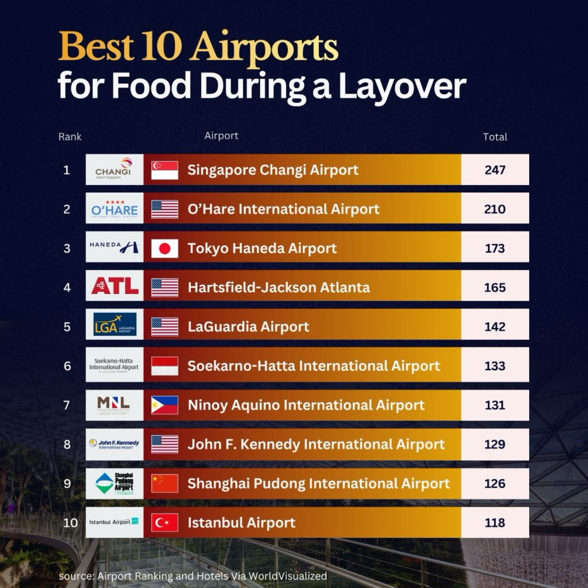Airports with the Best Food Options for Layover Passengers