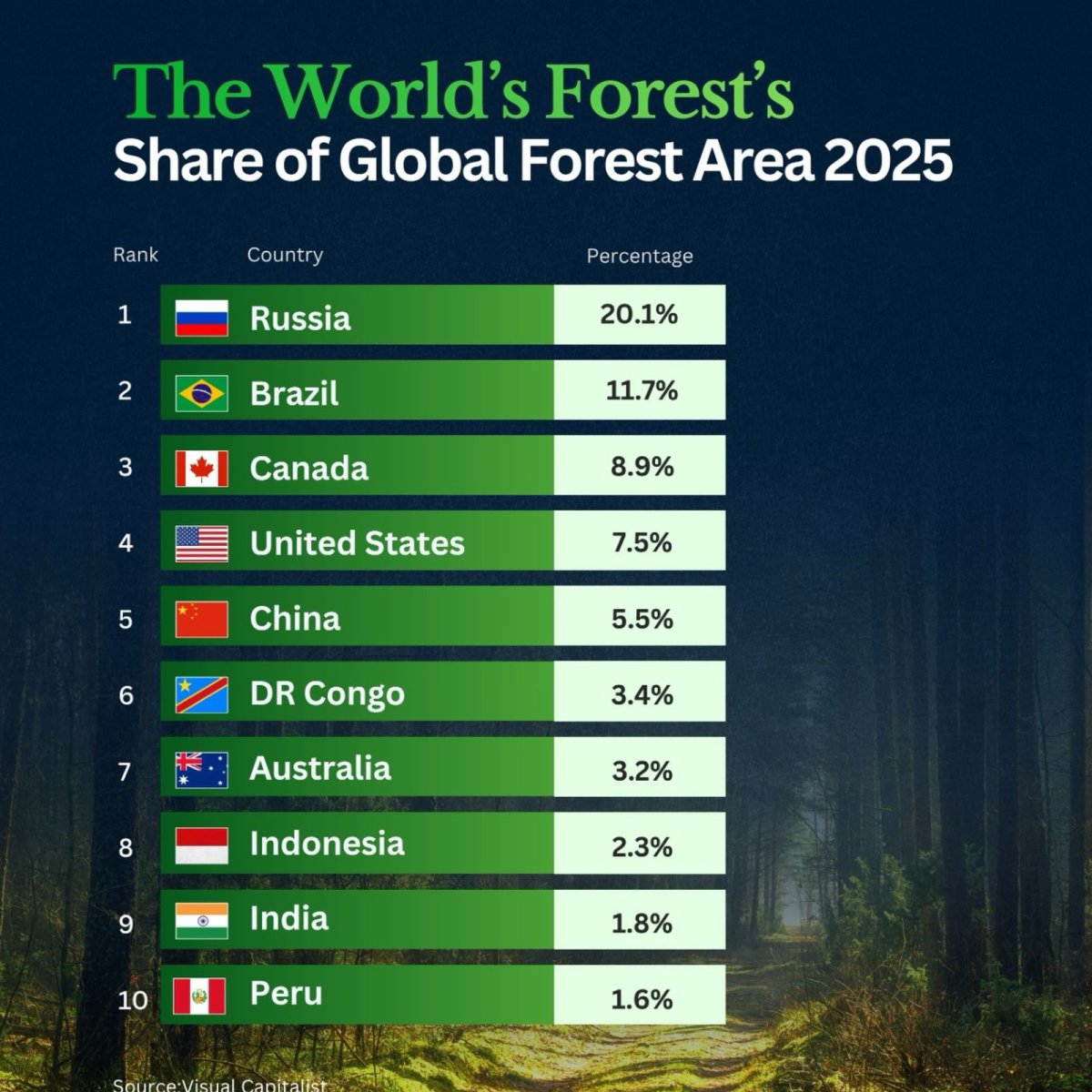 Share of Global Forest Area in 2025