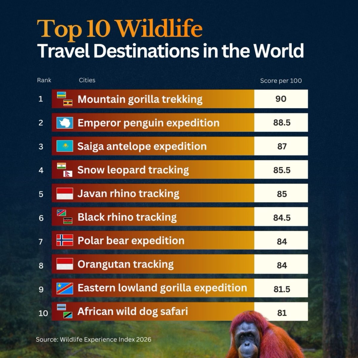 Top 10 Wildlife Travel Destinations in the World in 2026