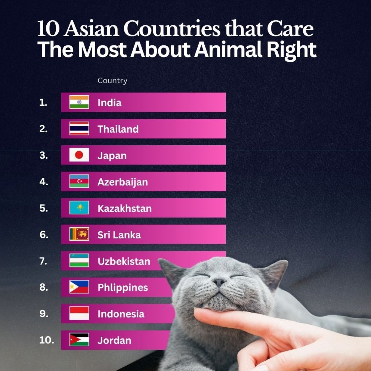 10 Countries That Care the Most About Animal Rights