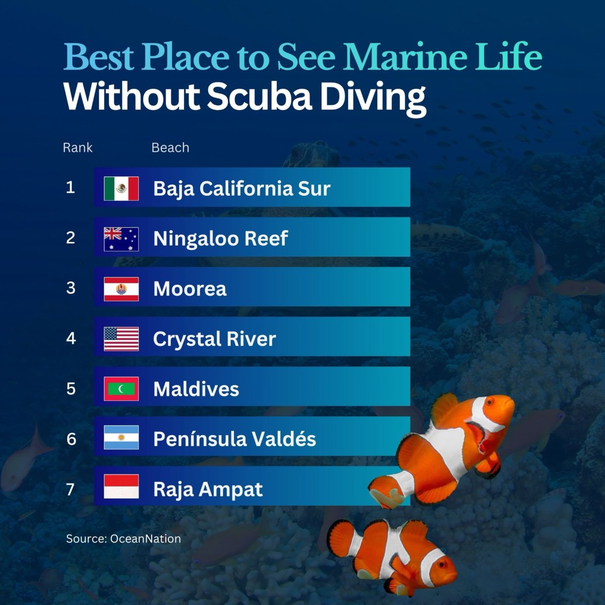 The Best Spots to See Marine Life without Scuba Gear