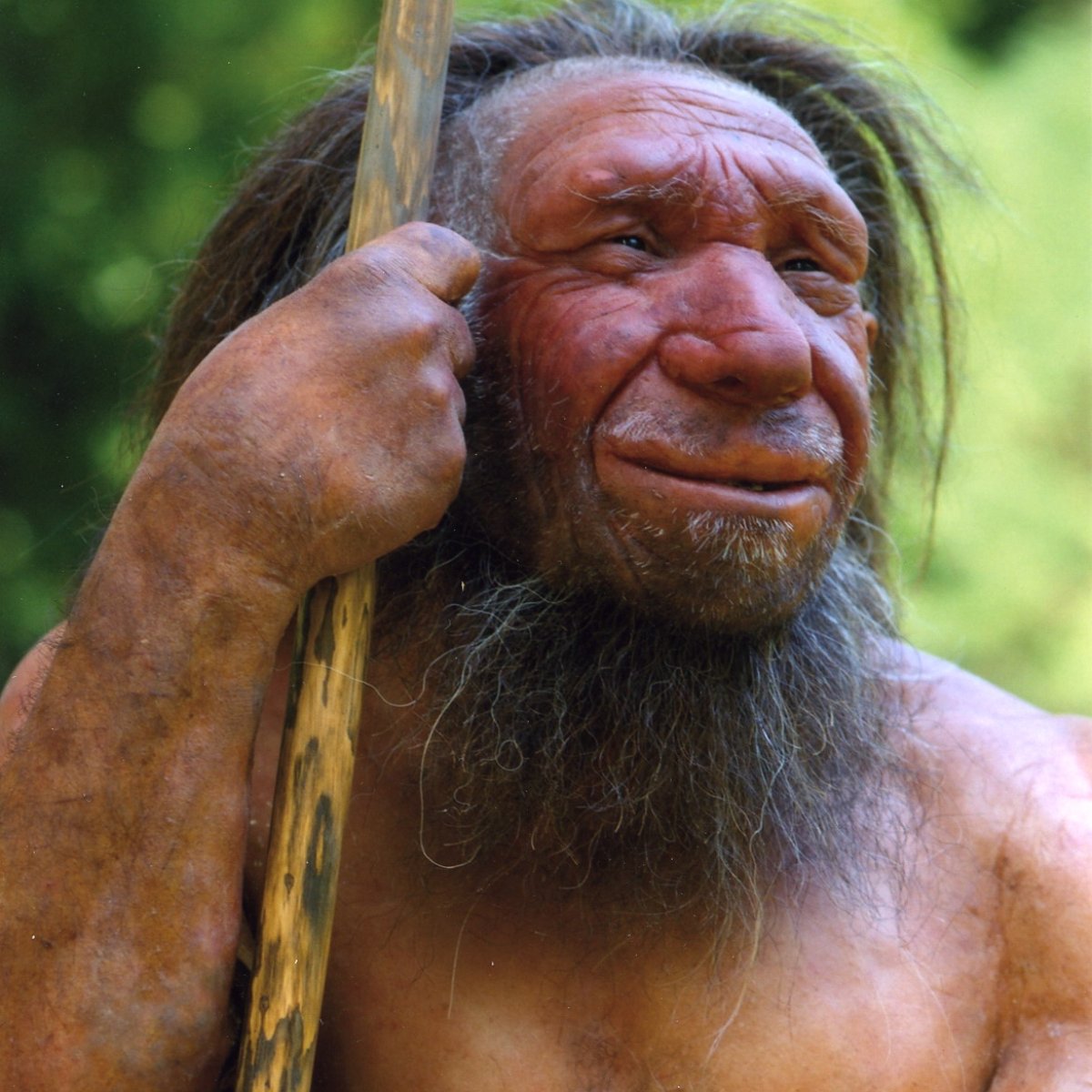 Beyond Sapiens. The Hidden History of Humanity