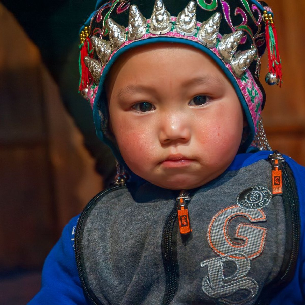 Southeast Asia's Great Vanishing